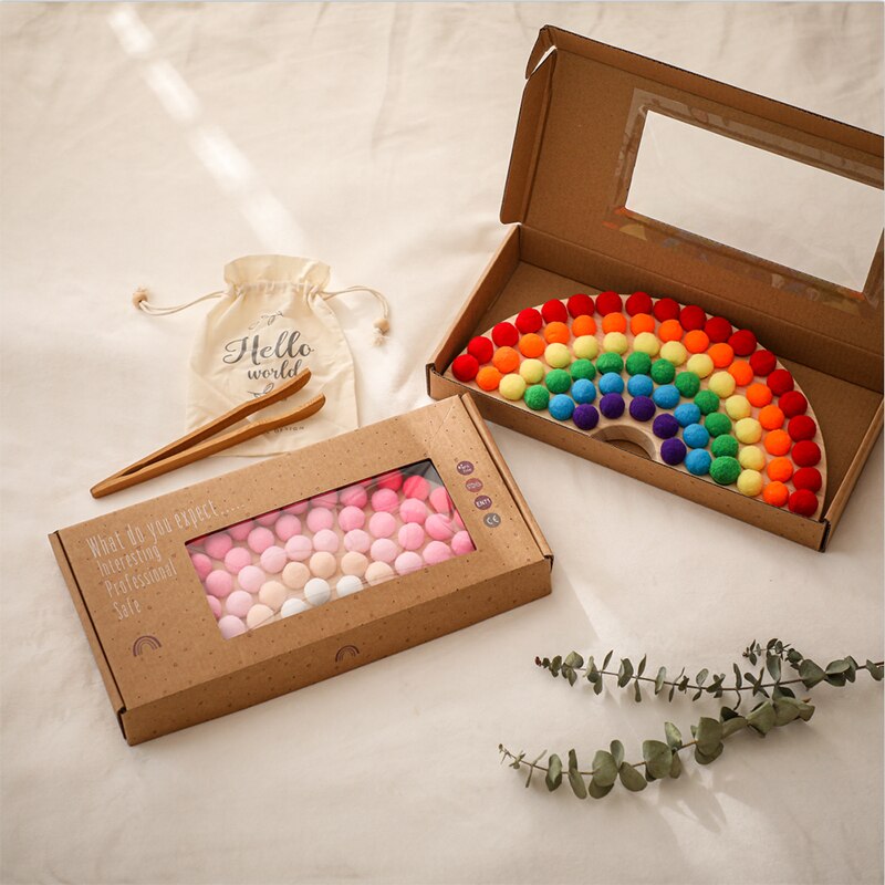 Montessori Rainbow Building Blocks and Ball Toys Set